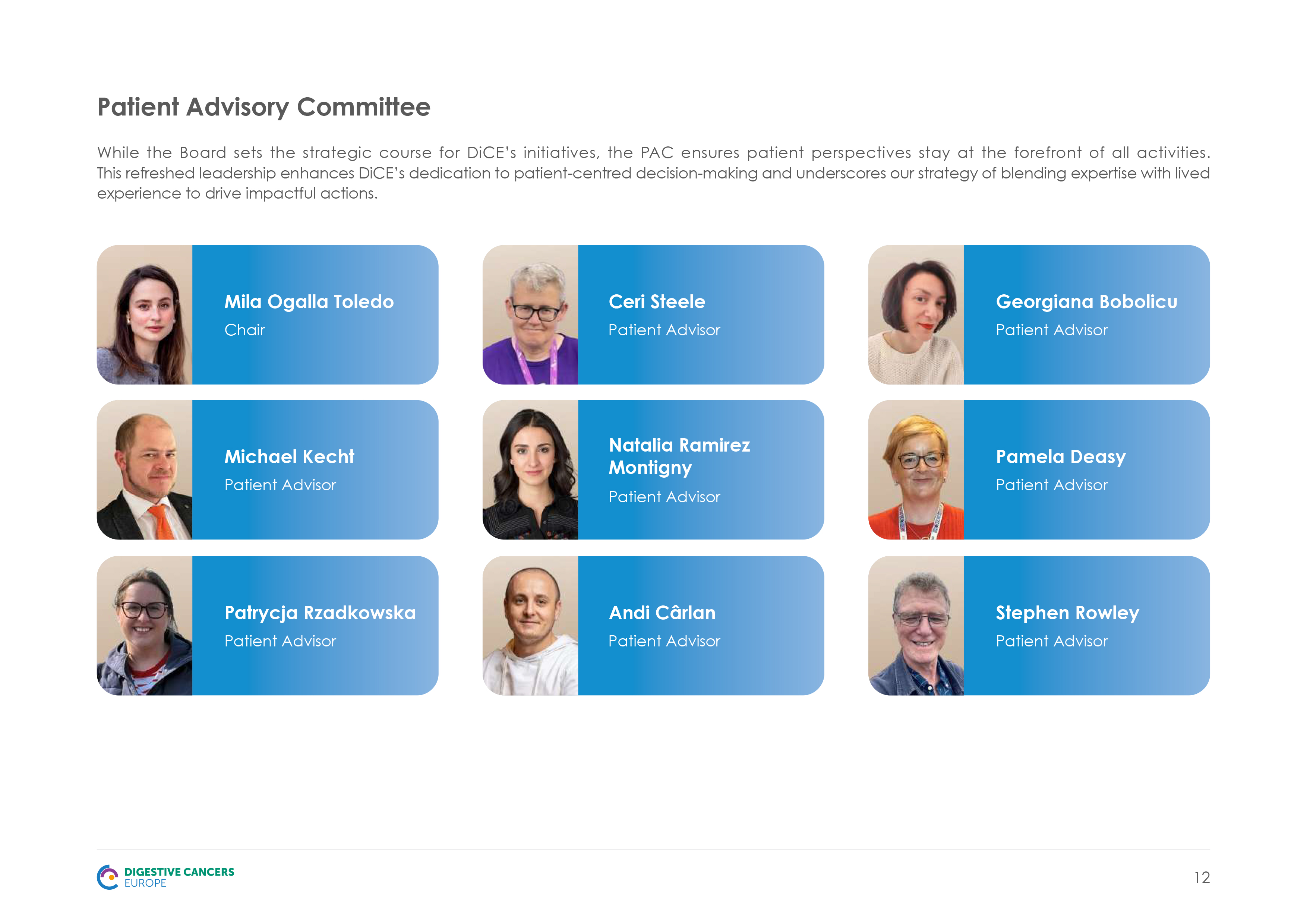 Digestive Cancers Europe Annual Report advisory committee