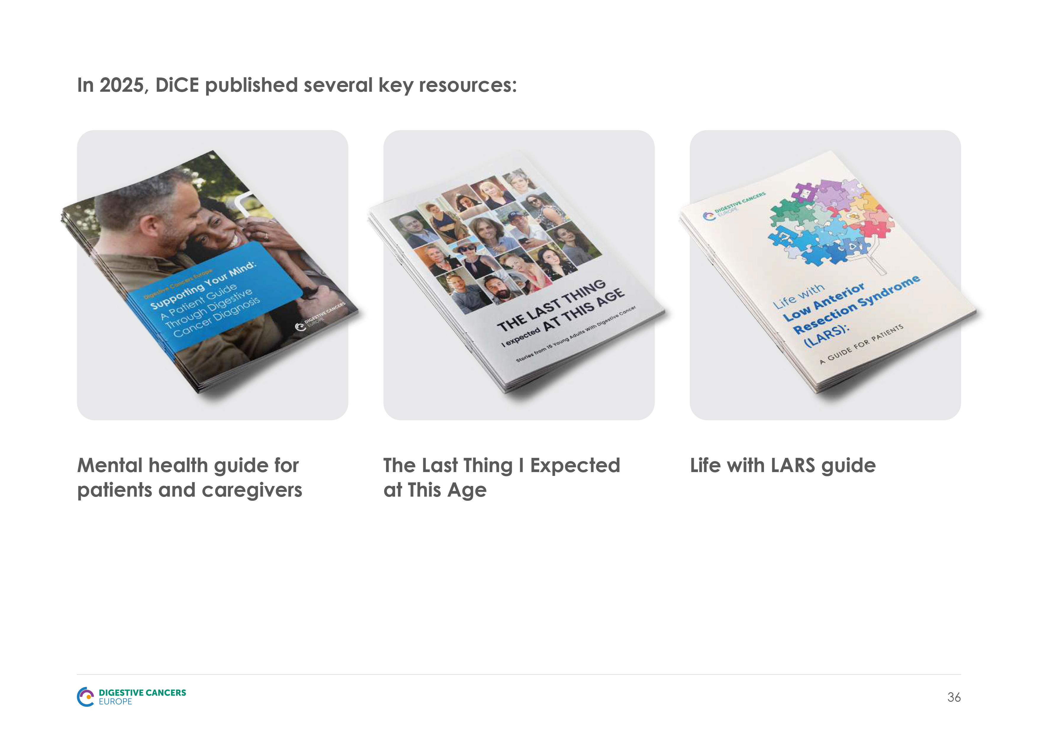 Digestive Cancers Europe Annual Report project update